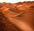 Безжальна Сахара: 24 цікаві факти про найбільшу пустелю світу